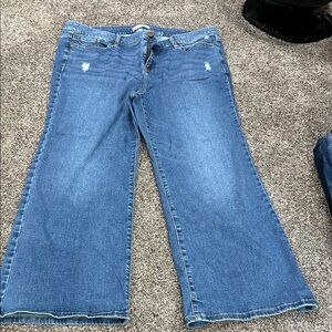 Lane Bryant Bootcut Classic Blue Women's Jeans